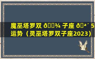 魔巫塔罗双 🌾 子座 🪴 5月运势（灵巫塔罗双子座2023）